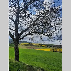  Hébergement de vacances La Dilettante, Petite Maison Rénovée, Avec Jardin France